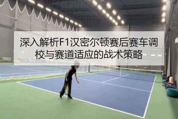 深入解析F1汉密尔顿赛后赛车调校与赛道适应的战术策略